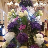 фото из отзыва ID 1435971