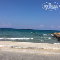 фото из отзыва ID 1436003