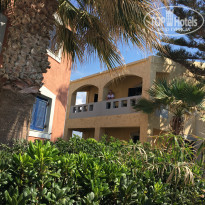 фото из отзыва ID 1436003