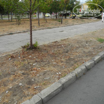 фото из отзыва ID 1436065