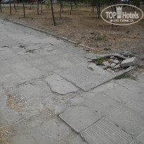 фото из отзыва ID 1436065