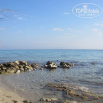 фото из отзыва ID 1436178