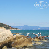 фото из отзыва ID 1436178