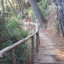 фото из отзыва ID 1436178