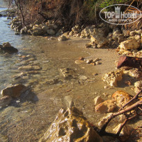 фото из отзыва ID 1436178