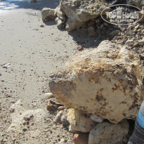 фото из отзыва ID 1436178