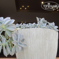 фото из отзыва ID 1436178