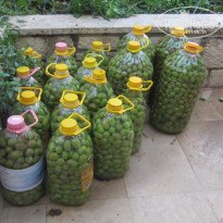 фото из отзыва ID 1436178