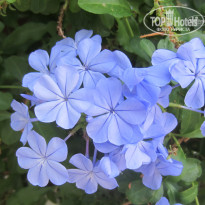 фото из отзыва ID 1436178