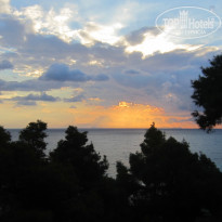 фото из отзыва ID 1436178