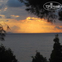 фото из отзыва ID 1436178