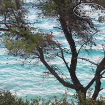 фото из отзыва ID 1436178