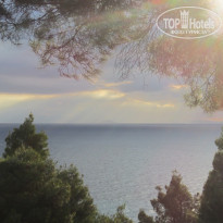 фото из отзыва ID 1436178