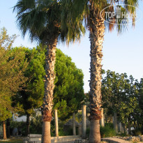 фото из отзыва ID 1436272