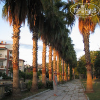 фото из отзыва ID 1436272