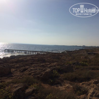 фото из отзыва ID 1436241