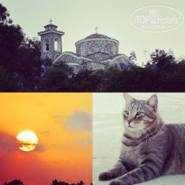 фото из отзыва ID 1436292