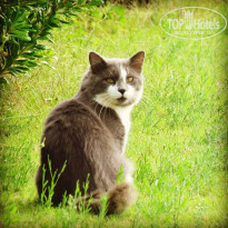 фото из отзыва ID 1436292