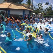 фото из отзыва ID 1436298