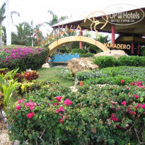 фото из отзыва ID 1436347