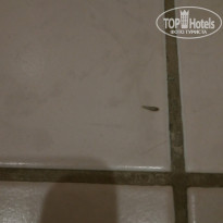 фото из отзыва ID 1436574