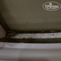 фото из отзыва ID 1436574