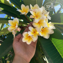 фото из отзыва ID 1436646