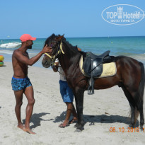 фото из отзыва ID 1436767