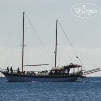 фото из отзыва ID 1435159