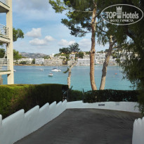 фото из отзыва ID 1436474