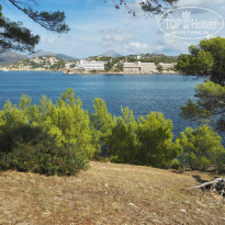 фото из отзыва ID 1436474