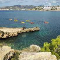 фото из отзыва ID 1436474