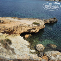 фото из отзыва ID 1436474