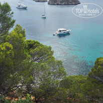 фото из отзыва ID 1436474