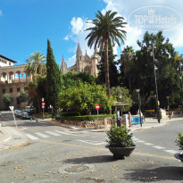 фото из отзыва ID 1436474