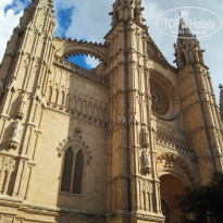 фото из отзыва ID 1436474