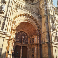 фото из отзыва ID 1436474