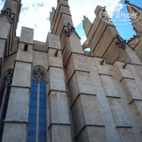 фото из отзыва ID 1436474