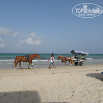 фото из отзыва ID 1436948