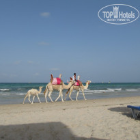 фото из отзыва ID 1436948