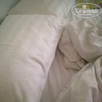 фото из отзыва ID 1436970