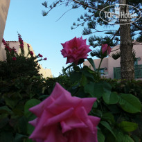 фото из отзыва ID 1437122