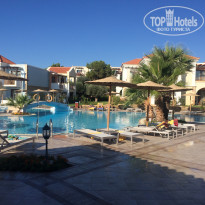 фото из отзыва ID 1437200