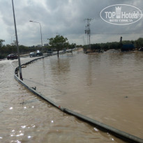 фото из отзыва ID 1437284