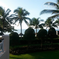 фото из отзыва ID 1437307