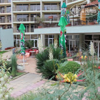 фото из отзыва ID 1437314