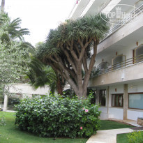 фото из отзыва ID 1437343