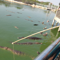 фото из отзыва ID 1437403