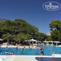 фото из отзыва ID 1437461