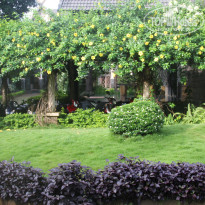 фото из отзыва ID 1437467